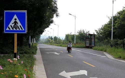 涉及14个乡镇 延庆乡村48条公路建设全面开工